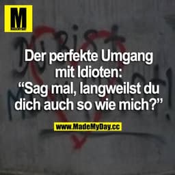 Der perfekte Umgang mit Idioten: "Sag mal, langweilst du dich auch so wie mich?"