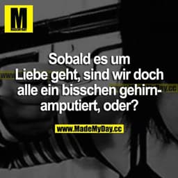 Sobald es um Liebe geht, sind wir doch alle ein bisschen gehirnamputiert, oder?
