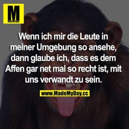 Wenn ich mir die Leute in meiner Umgebung so ansehe, dann glaube ich, dass es dem Affen gar net mal so recht ist, mit un