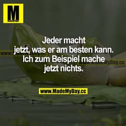 Jeder macht jetzt, was er am besten kann. Ich zum Beispiel mache jetzt nichts.