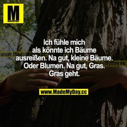 Ich fühle mich als könnte ich Bäume ausreißen. Na gut, kleine Bäume. Oder Blumen. Na gut, Gras. Gras geht.