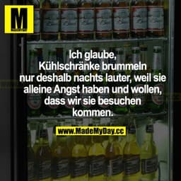 Ich glaube, Kühlschränke brummeln nur deshalb nachts lauter, weil sie alleine Angst haben und wollen, dass wir sie besuc