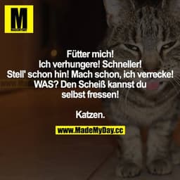 Fütter mich! Ich verhungere! Schneller! Mach schon hin! Mach schon, ich verrecke! WAS? Den Scheiß kannst du selbst fress