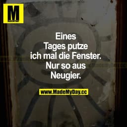 Eines Tages putze ich mal die Fenster. Nur so aus Neugier.