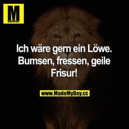 Ich wäre gern ein Löwe. Bumsen, fressen, geile Frisur!