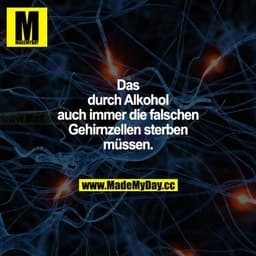 Dass durch Alkohol auch immer die falschen Gehirnzellen sterben müssen.