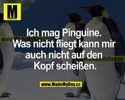 Ich mag Pinguine. Was nicht fliegt, kann man mir auch nicht auf den Kopf scheißen.