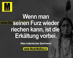 Wenn man seinen Furz wieder riechen kann, ist die Erkältung vorbei.
Altes indianisches Sprichwort.