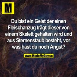 Du bist ein Geist der einen Fleischanzug trägt dieser von einem Skelett gehalten wird und aus Sternenstaub besteht, vor 