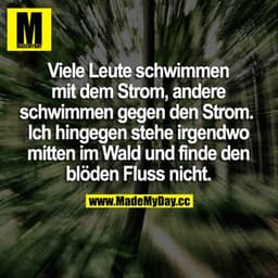 Viele Leute schwimmen mit dem Strom, andere schwimmen gegen den Strom. Ich hingegen stehe irgendwo im Wald und finde den