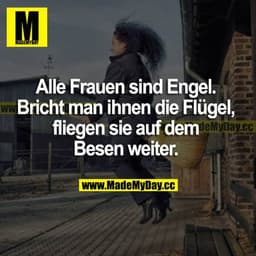Alle Frauen sind Engel. Bricht man ihnen die Flügel, fliegen sie auf dem Besen weiter.