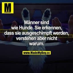 Männer sind wie Hunde. Sie erkennen, dass sie ausgeschimpft werden, verstehen aber nicht warum.