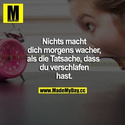 Nichts macht dich morgens wacher, als die Tatsache, dass du verschlafen hast.