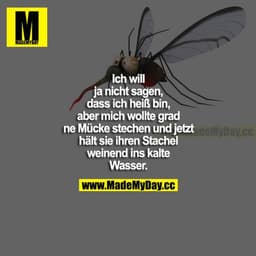 Ich will ja nicht sagen, dass ich heiß bin, aber mich wollte grad ne Mücke stechen und jetzt hält sie ihren Stachel wein