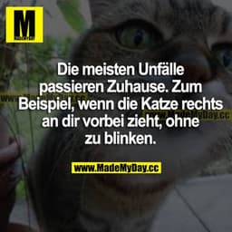 Die meisten Unfälle passieren Zuhause. Zum Beispiel, wenn die Katze rechts an dir vorbei zieht, ohne zu blinken.