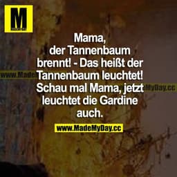 Mama, der Tannenbaum brennt! Das heißt der Tannenbaum leuchtet! Schau mal Mama, jetzt leuchtet die Gardine auch.