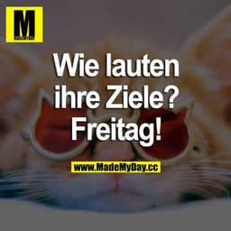 Wie lauten ihre Ziele? Freitag!