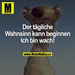 Der tägliche Wahnsinn kann beginnen. Ich bin wach!