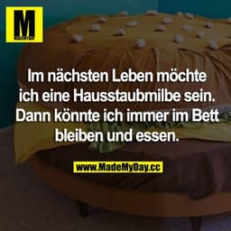 Im nächsten Leben möchte ich eine Hausstaubmilbe sein. Dann könnte ich immer im Bett bleiben und essen.