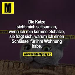 Die Katze sieht mich seltsam an, wenn ich reinkomme. Schätze, sie fragt sich, warum ich einen Schlüssel für ihre Wohnung