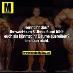 Kennt ihr das? Ihr wacht um 6 Uhr auf und fühlt euch als könntet ihr Bäume ausreißen? Ich auch nicht.
