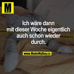 Ich wäre dann mit dieser Woche eigentlich auch schon wieder durch.