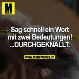 "Sag schnell, ein Wort mit zwei Bedeutungen!"
"..Durchgeknallt." 
"..."