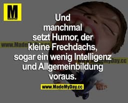Und manchmal setzt Humor, der kleine Frechdachs, sogar ein wenig Intelligenz und Allgemeinbildung voraus.