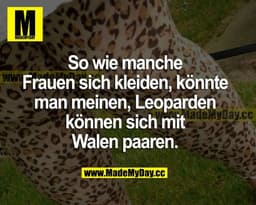 So wie manche Frauen sich kleiden, könnte man meinen, Leoparden können sich mit Walen paaren.
