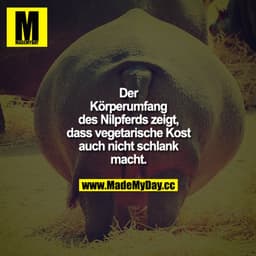 Der Körperumfang des Nilpferds zeigt, dass vegetarische Kost auch nicht schlank macht.