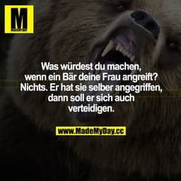 Was würdest du machen, wenn ein Bär deine Frau angreift? Nichts. Er hat sie selber angegriffen, dann soll er sich auch v