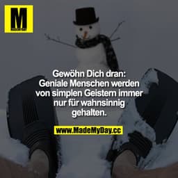 Gewöhn Dich dran: Geniale Menschen werden von simplen geistern immer nur für wahnsinnig gehalten.