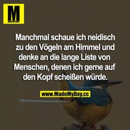 Manchmal schaue ich neidisch zu den Vögeln am Himmel und denke an die lange Liste von Menschen, denen ich gerne auf den 