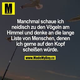 Manchmal schaue ich neidisch zu den Vögeln am Himmel und denke an die lange Liste von Menschen, denen ich gerne auf den 