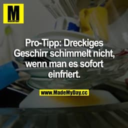 Pro-Tipp: Dreckiges Geschirr schimmelt nicht, wenn man es sofort einfriert.