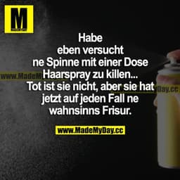 Habe eben versucht, ne Spinne mit einer Dose Haarspray zu killen... Tot ist sie nicht, aber sie hat jetzt auf jeden Fall