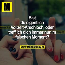 Bist du eigentlich Vollzeit-Arschloch, oder treff ich dich immer nur im falschen Moment?