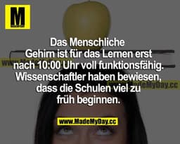 Das menschliche Gehirn ist für das Lernen erst nach 10:00 Uhr voll funktionsfähig. Wissenschaftler haben bewiesen, dass 