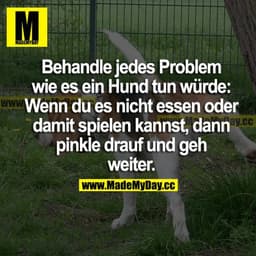 Behandle jedes Problem wie es ein Hund tun würde: Wenn du es nicht essen oder damit spielen kannst, dann pinkle drauf un