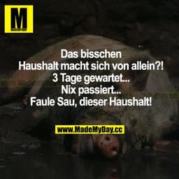 Das bisschen Haushalt macht sich von allein?! 3 Tage gewartet... Nix passiert... Faule Sau, dieser Haushalt!