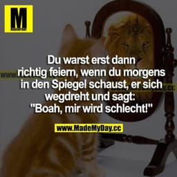 Du warst erst dann richtig feiern, wenn du morgens in den Spiegel schaust, er sich wegdreht und sagt: "Boah, mir wird sc