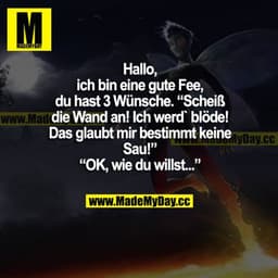 Hallo, ich bin eine gute Fee, du hast 3 Wünsche. "Scheiß die Wand an! Ich werd blöde! Das glaubt mir bestimmt keine Sau!