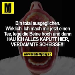 Bin total ausgeglichen. Wirklich. Ich mach mir jetzt einen Tee, lege die Beine hoch und dann HAU ICH ALLES KAPUTT HIER, 