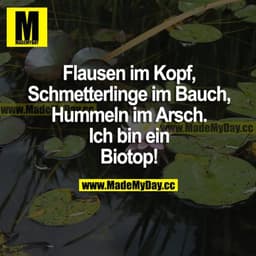 Flausen im Kopf, Schmetterlinge im Bauch, Hummeln im Arsch. Ich bin ein Biotop!