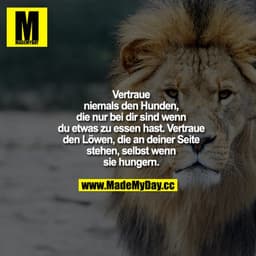 Vertraue niemals den Hunden, die nur bei dir sind, wenn du etwas zu essen hast. Vertraue den Löwen, die an deiner Seite 