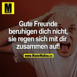 Gute Freunde beruhigen dich nicht, sie regen sich mit dir zusammen auf.