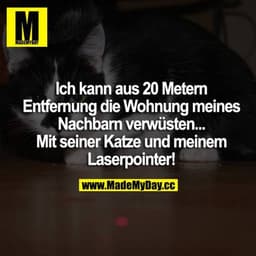 Ich kann aus 20 Metern Entfernung die Wohnung meines Nachbarn verwüsten... Mit seiner Katze und meinem Laserpointer!