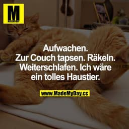 Aufwachen. Zur Couch tapsen. Räkeln. Weiterschlafen. Ich wäre ein tolles Haustier.