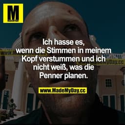 Ich hasse es, wenn die Stimmen in meinem Kopf verstummen und ich nicht weiß, was die Penner planen.