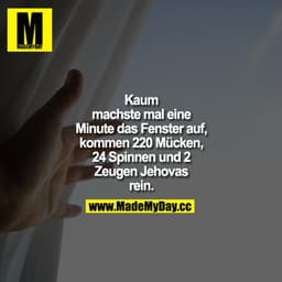Kaum machste mal eine Minuten das Fenster auf, kommen 220 Mücken, 24 Spinnen und 2 Zeugen Jehovas rein. 